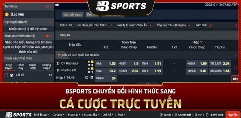 Đăng nhập Bsport: Cách truy cập vào tài khoản cá cược nhanh 4 Giao diện hấp dẫn mang lại trải nghiệm đầy thú vị
